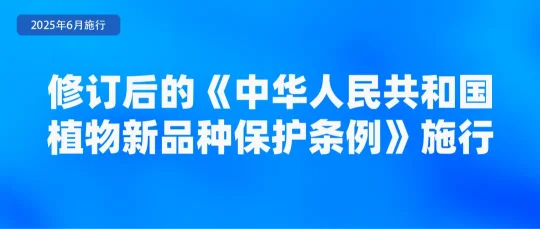 6月新规来了！第一条就能帮你省钱→(图7)