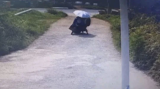专挑摩托车师傅“下手 ”一“碰瓷”团伙在花垣作案栽了！(图2)