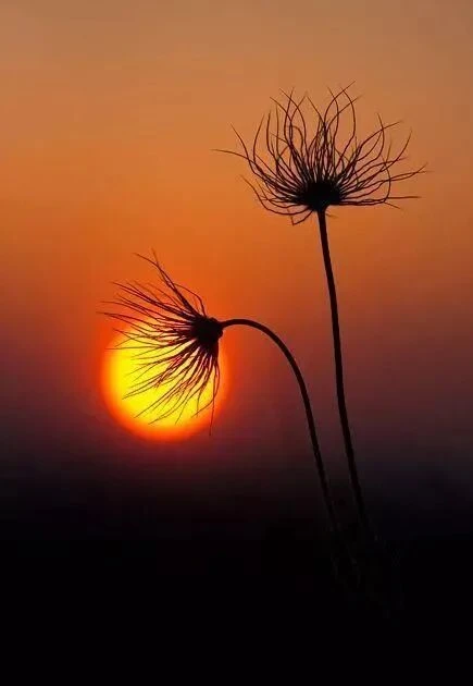 懂了摄影圈那些不成文的“规矩”，你才算真正入了门(图7)