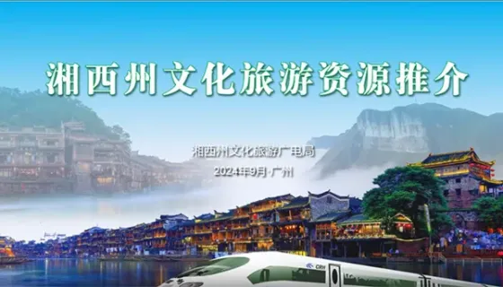 专业呈现，精准传达 —— 定制化PPT