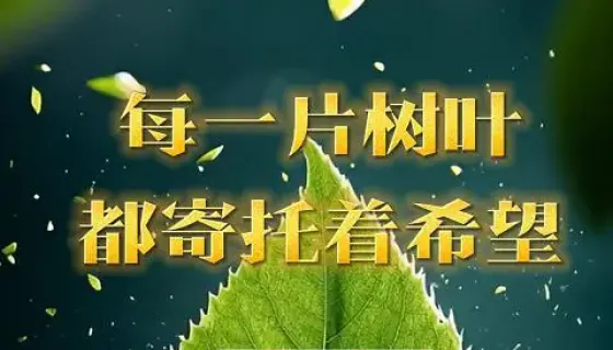 每一片树叶都寄托着希望